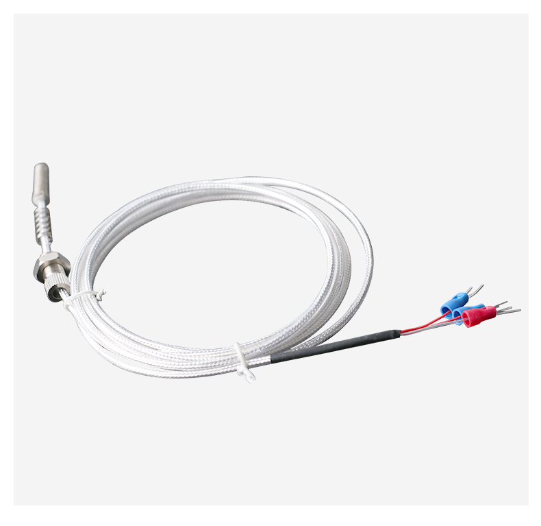 端面熱電阻6_http://m.marianenglish.com_溫度儀表_第14張