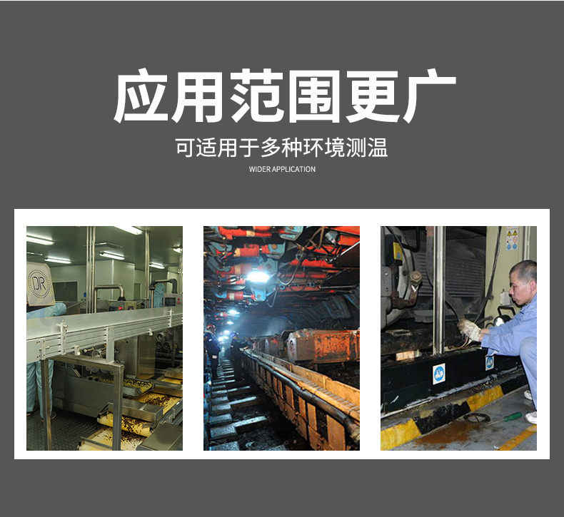 2008一體化溫度傳感器8_http://m.marianenglish.com_溫度儀表_第7張