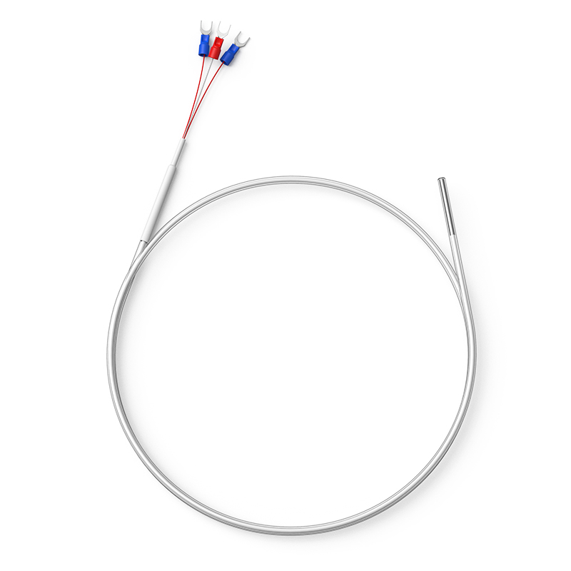 鐵氟龍熱電阻12_http://m.marianenglish.com_溫度儀表_第1張