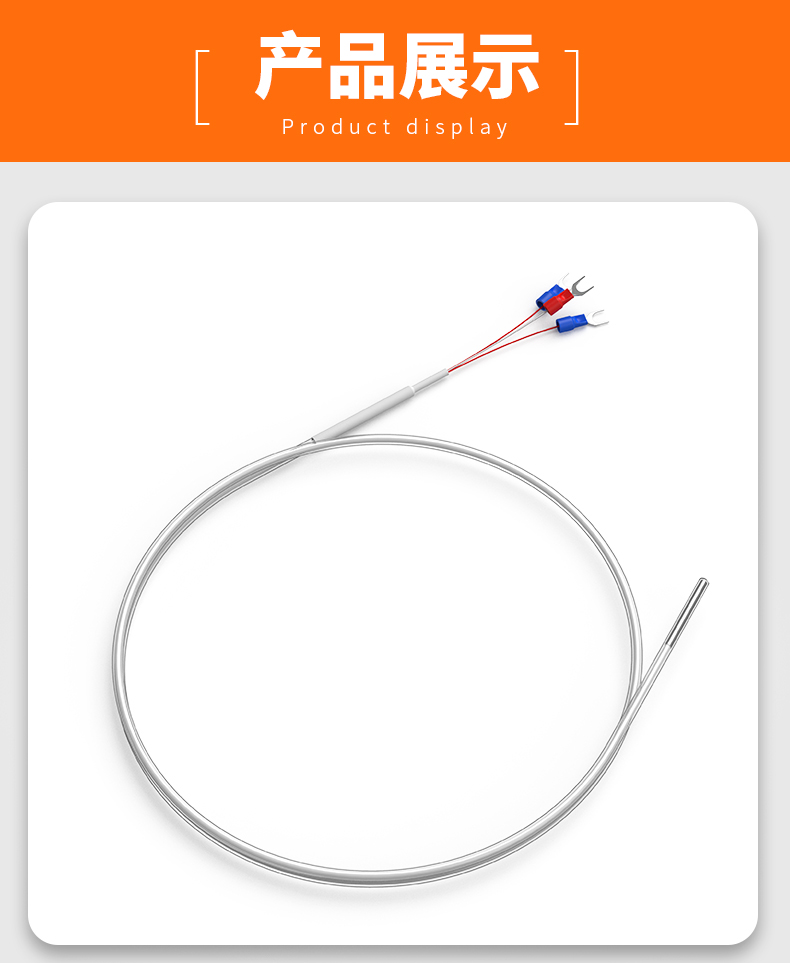 鐵氟龍熱電阻12_http://m.marianenglish.com_溫度儀表_第13張