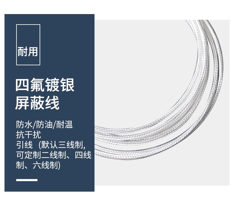 端面熱電阻6_http://m.marianenglish.com_溫度儀表_第11張