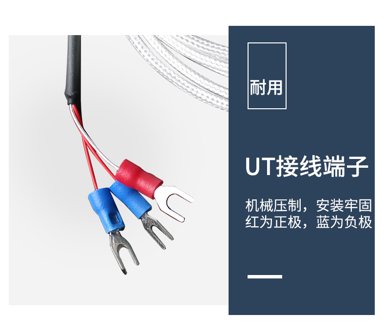 端面熱電阻6_http://m.marianenglish.com_溫度儀表_第12張