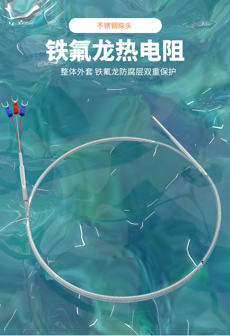 鐵氟龍熱電阻12_http://m.marianenglish.com_溫度儀表_第4張