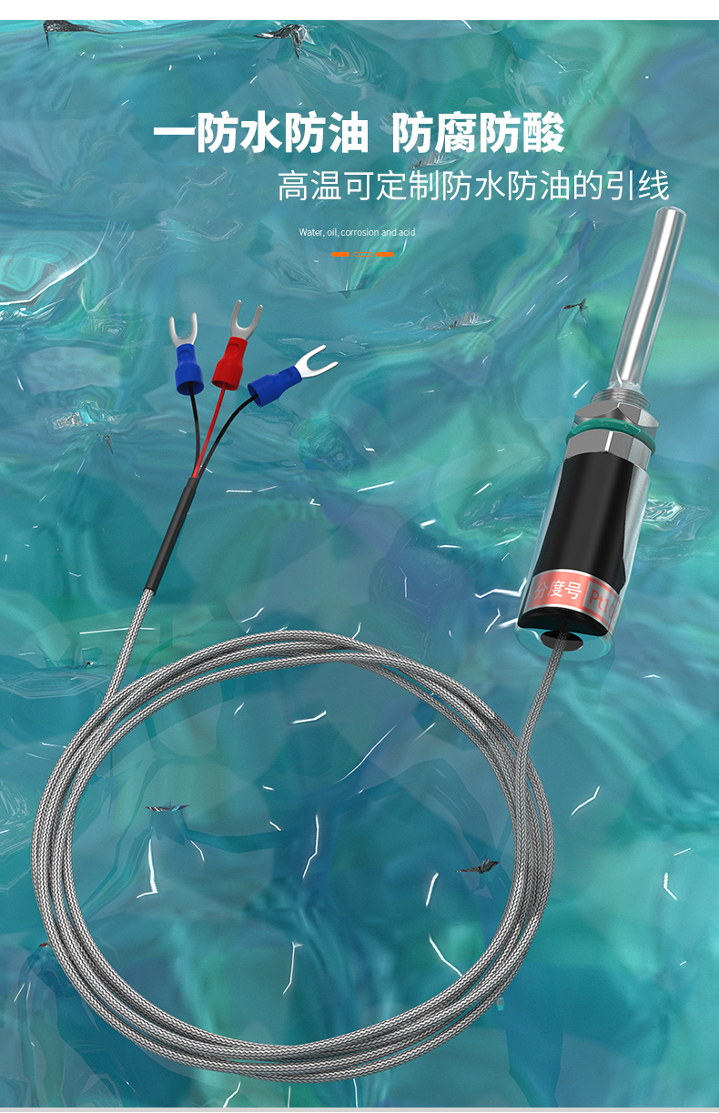 PT100溫度傳感器13_http://m.marianenglish.com_溫度儀表_第9張