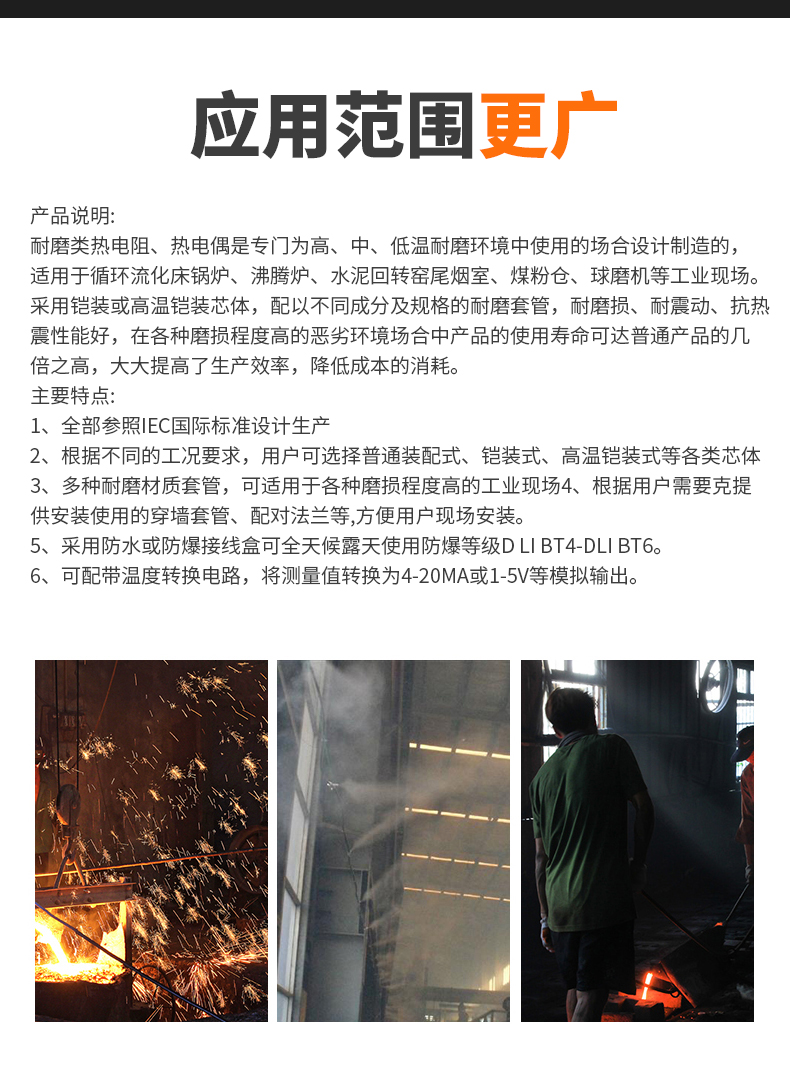 WRNM-131耐磨熱電偶15_http://m.marianenglish.com_溫度儀表_第6張