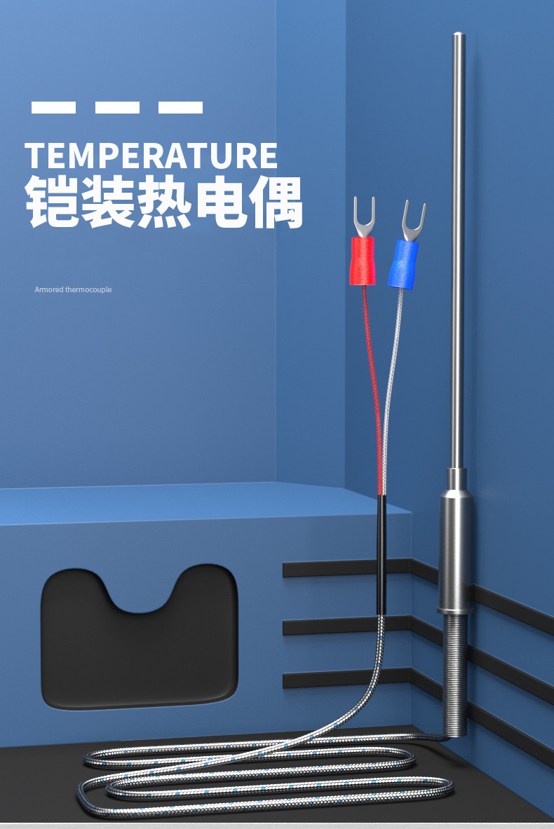 鎧裝溫度傳感器18_http://m.marianenglish.com_溫度儀表_第5張