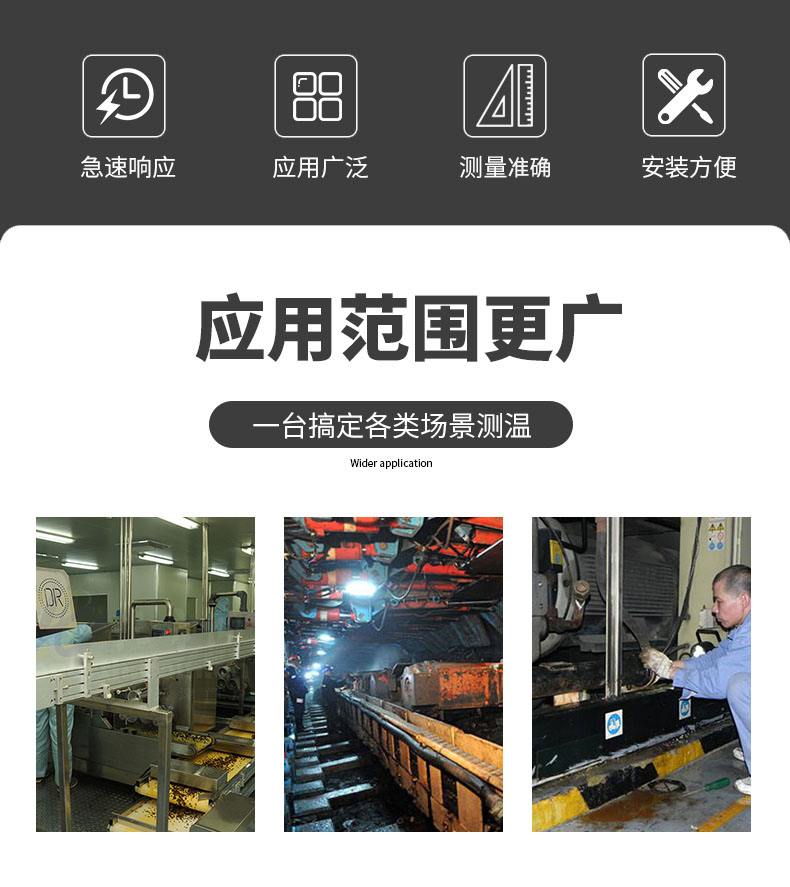 PT100溫度傳感器20_http://m.marianenglish.com_溫度儀表_第6張